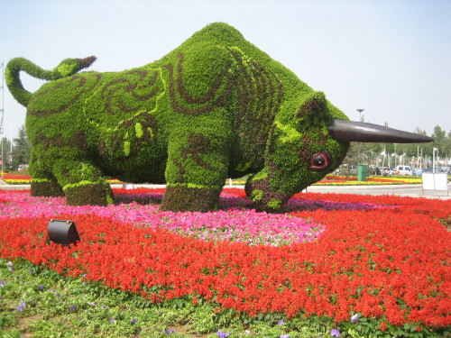  p data-id="gnwsyovmio">中国(青州)花卉博览交易会是国内著名的花卉