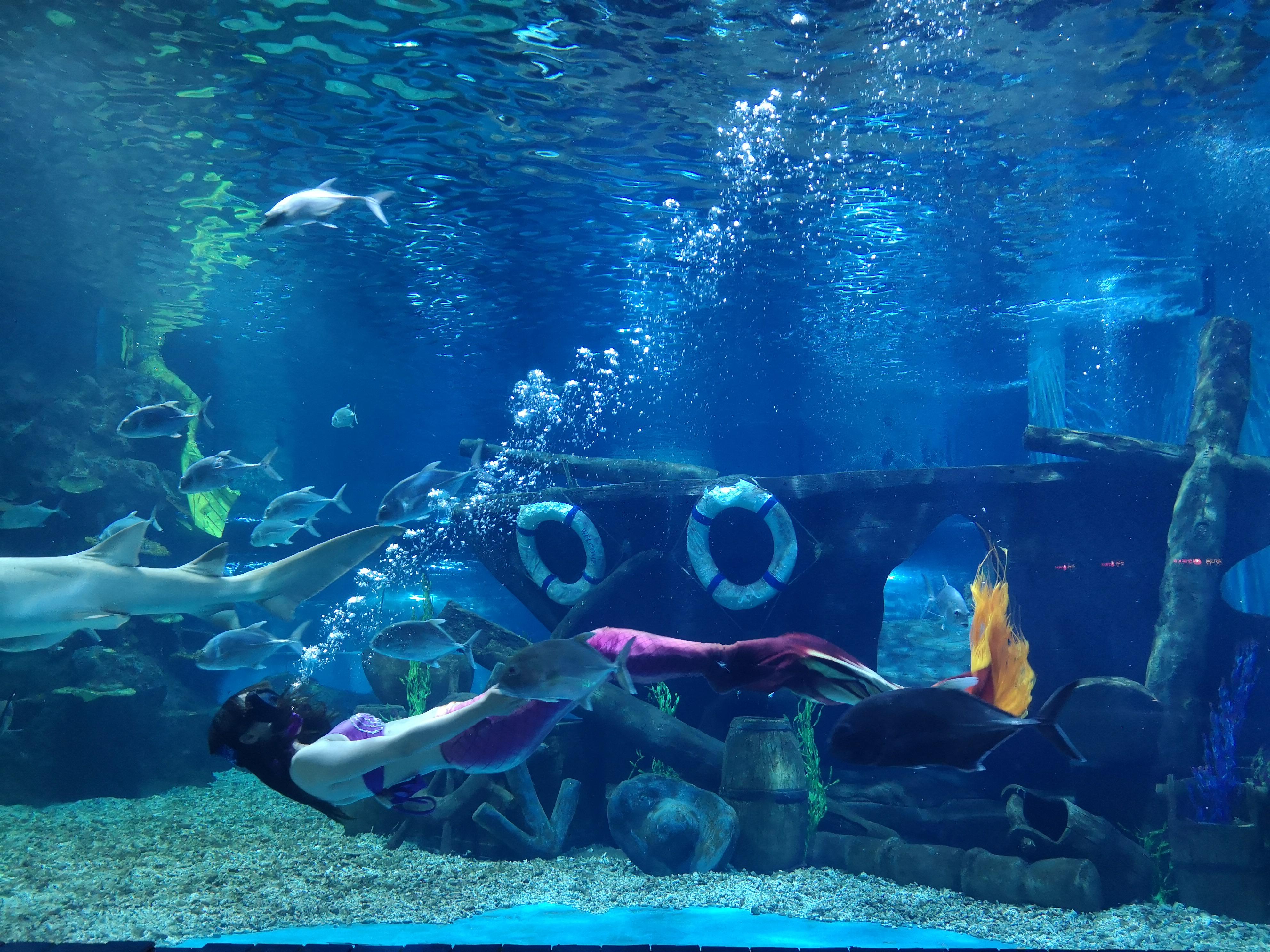 南充极地海洋世界