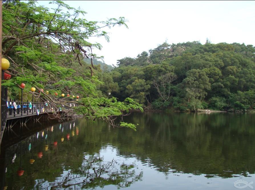 厦门萤火虫公园