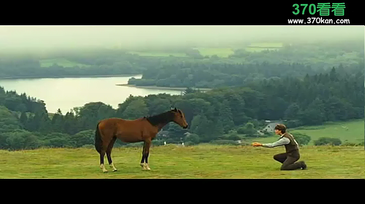 战马