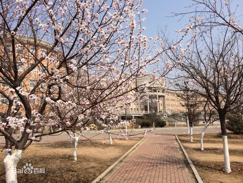 target="_blank" href="/item/葫芦岛市">葫芦岛市 /a>第一高级中学是