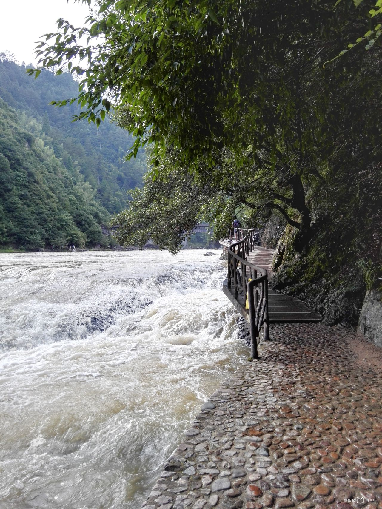 宁德市白水洋-鸳鸯溪旅游区