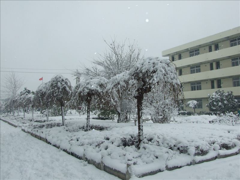  p data-id="gnwvbt9xxf">安庆市第九中学由原安庆八中和原安庆九中