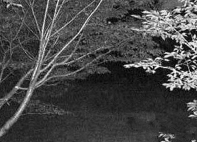  p>犬鸣隧道位于日本 a target="_blank" href="/item/九州岛/294780"