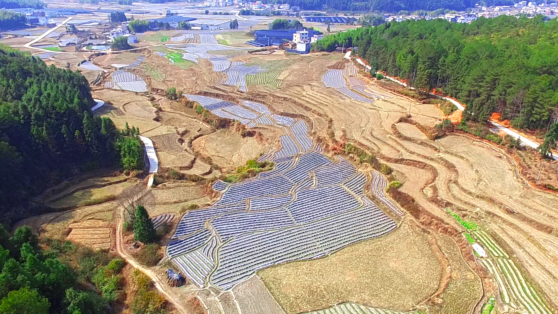  p>新联村位于福建省龙岩市武平县东留镇,距镇政府7.