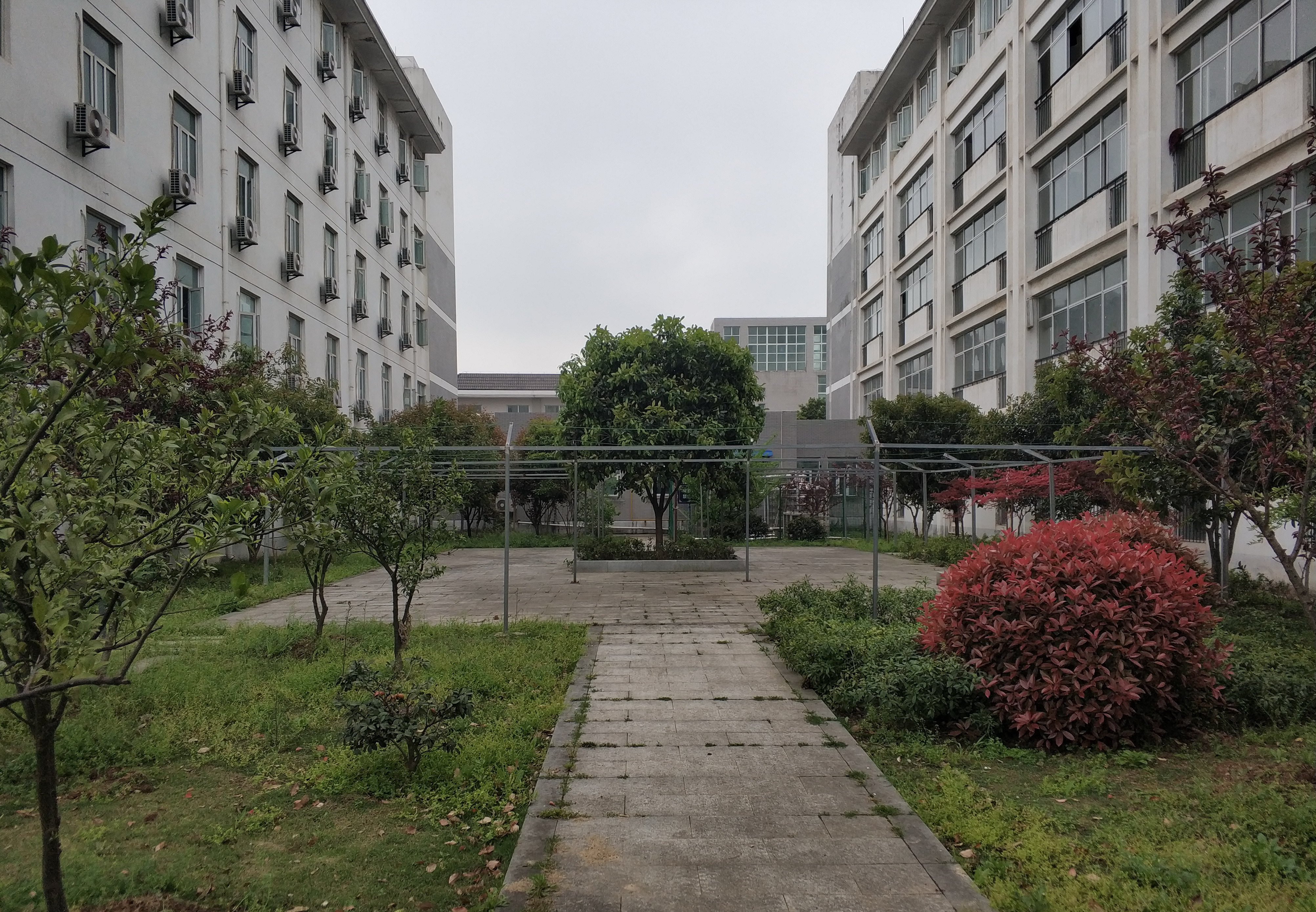 武汉市汉南第一中学