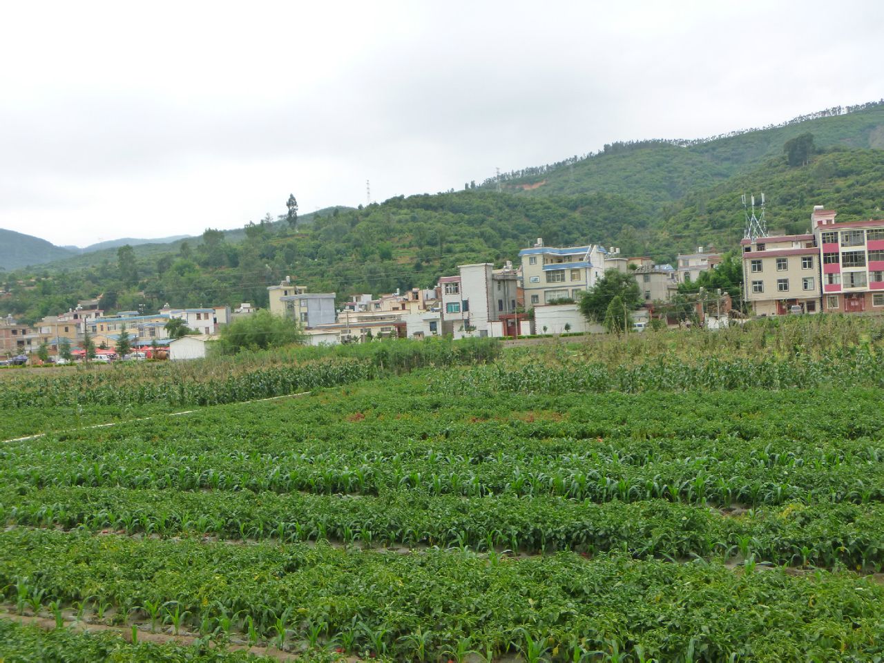  p>永丰村隶属宜良县匡远街道办事处,距镇政府所在地8公里,到镇道路为