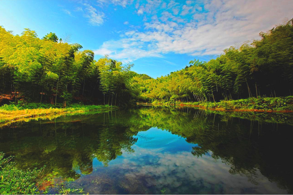  p>竹海,由漫无边际的竹林组成,四周青山环抱,湖水常年清澈如镜,水在