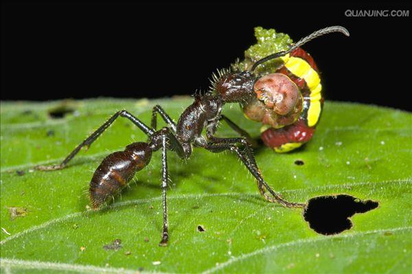 thnvqjwsnh8f"><span class="ref" data