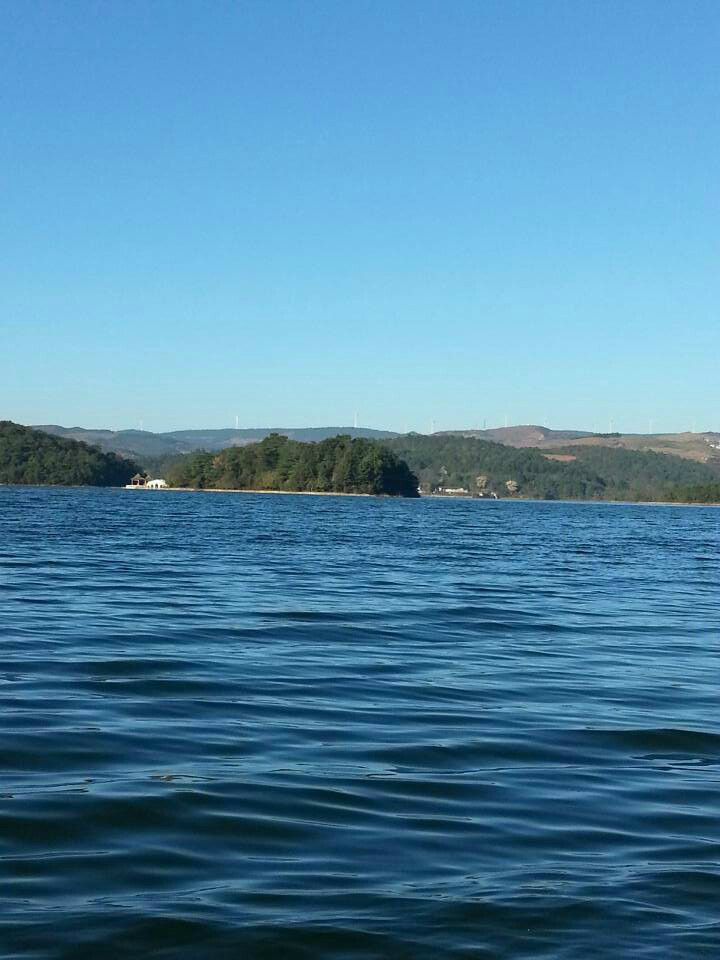 个地方:一个地方是位于云南泸西县城西北25公里的板桥河水库的阿拉湖