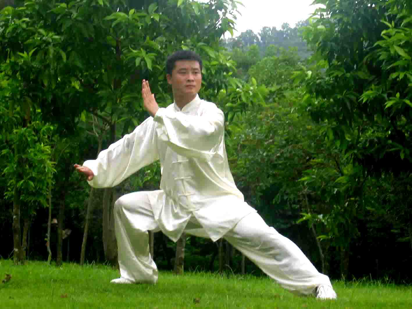 陈式五十六式太极拳