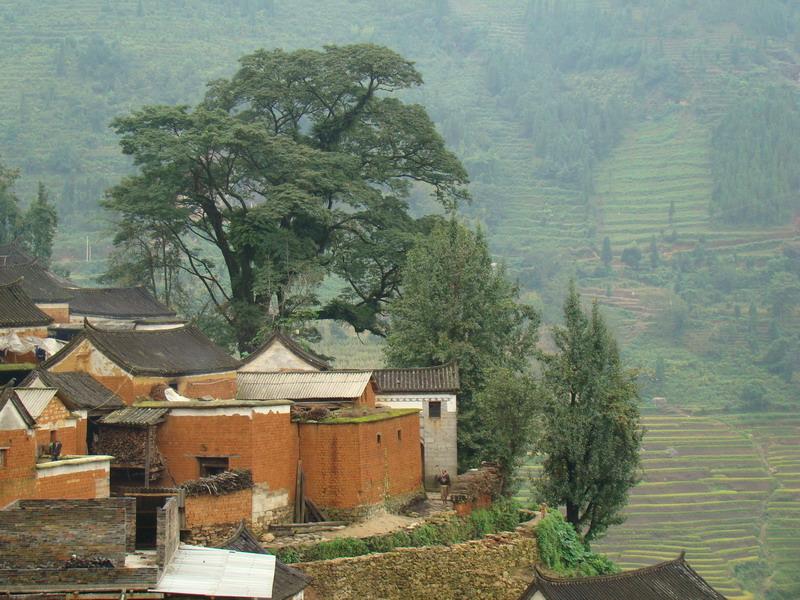  p>比姿村隶属于云南省红河州红河县乐育乡尼美村委会,属于山区.