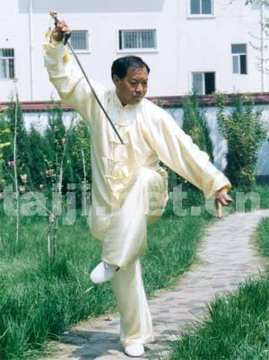 陈式太极剑49式