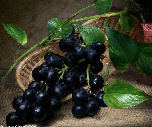 黑水果