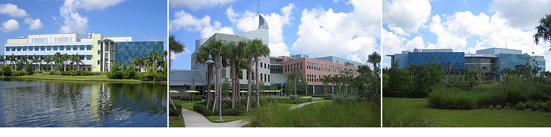 the scripps research institute