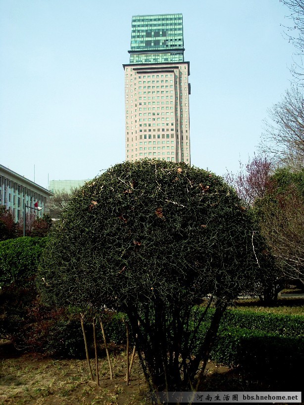  p>绿城广场位于河南省 a target="_blank" href="/item/郑州市