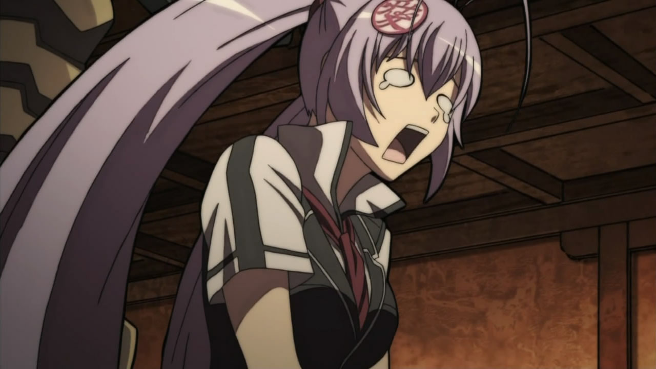 百花缭乱武士少女