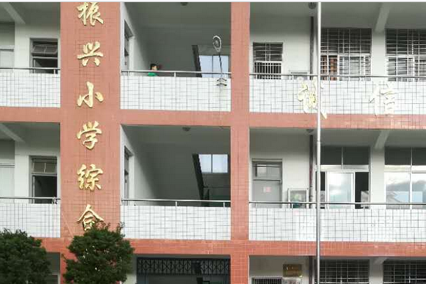南宁市振兴小学