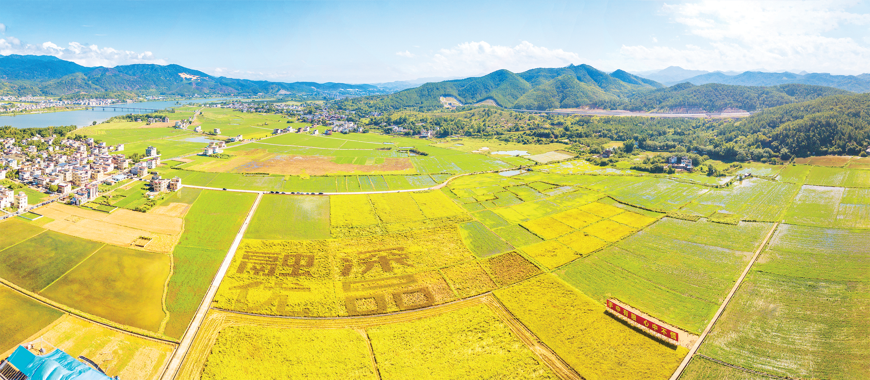 河源东源县 全网资源