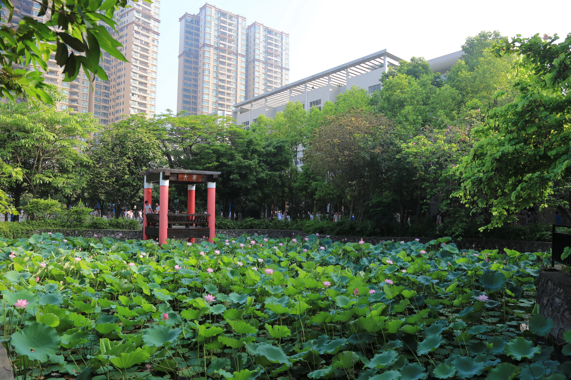 中山市东升高级中学