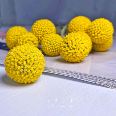  p data-id="tb6hzvtanhjk">金球菊为菊科亚菊属的多年生直立草本或亚