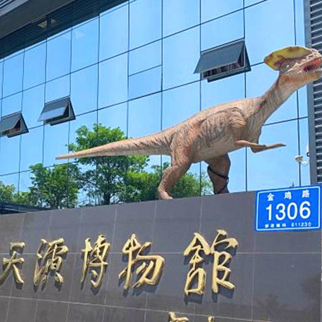 崇州天演博物馆