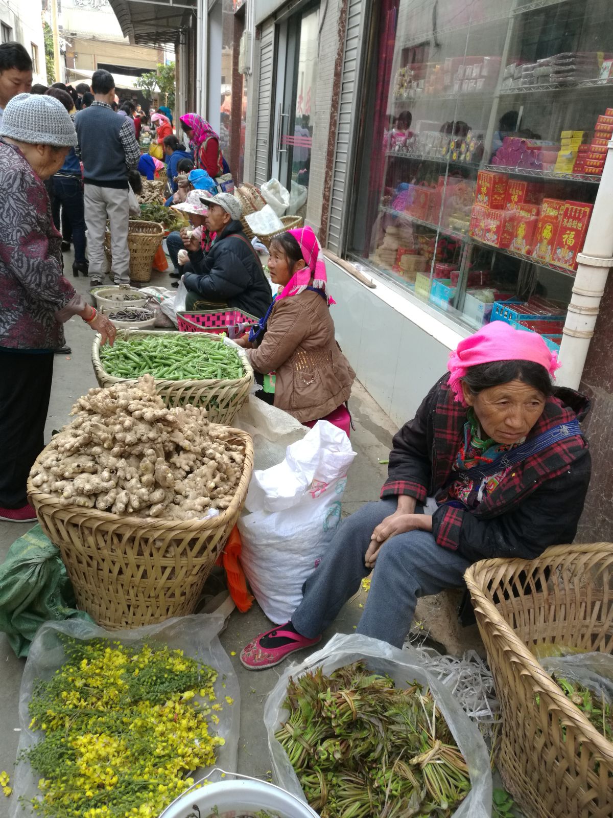  p data-id="go07p1p3gd">竹园镇,隶属于云南省红河哈尼族彝族自治州