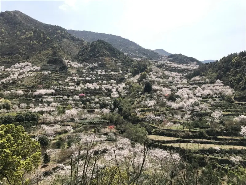北漳镇