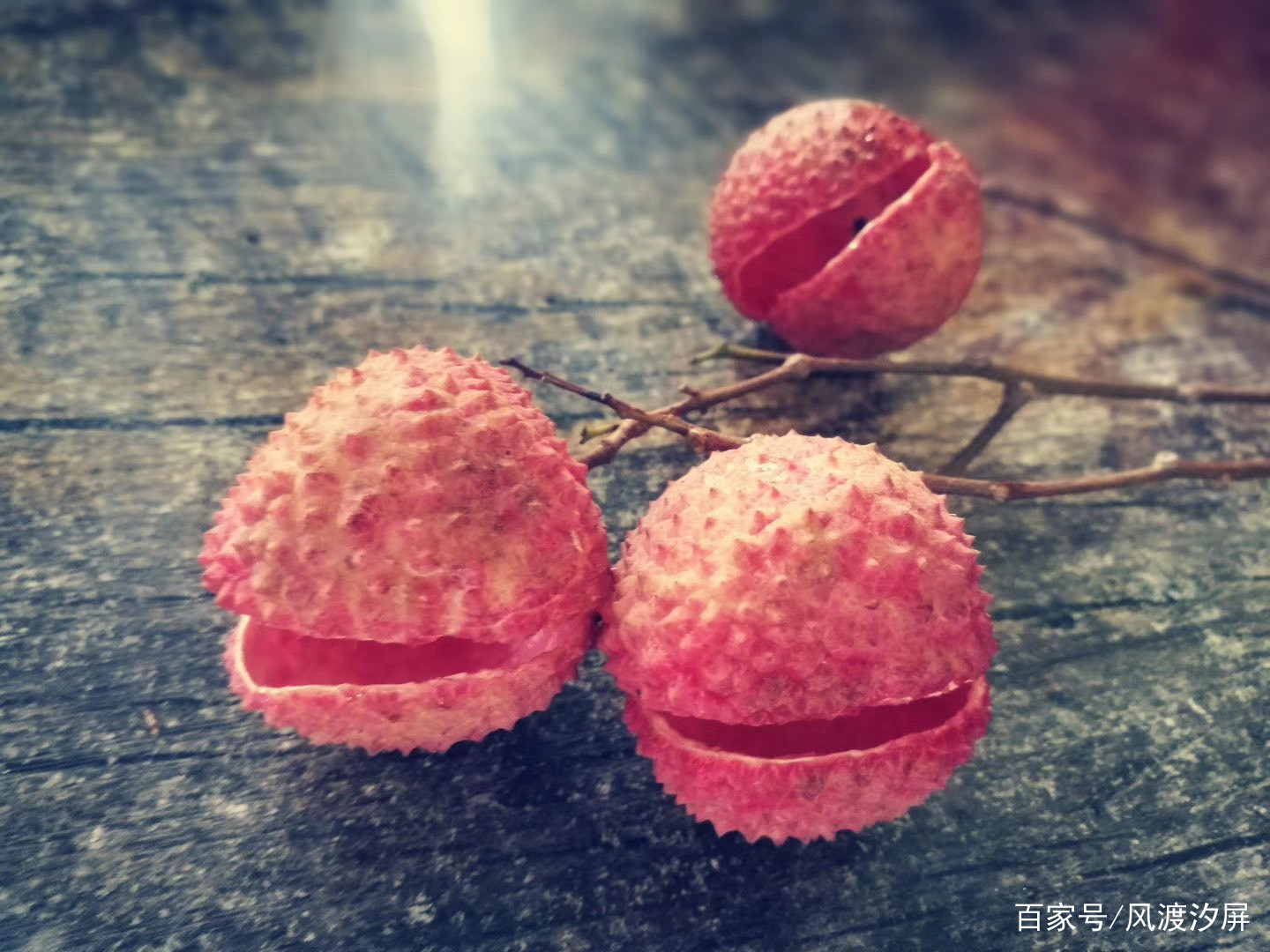 夏至，又是一年荔枝红_百科TA说