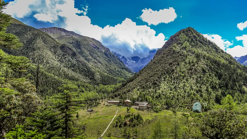 大雪山原始森林自然保护区