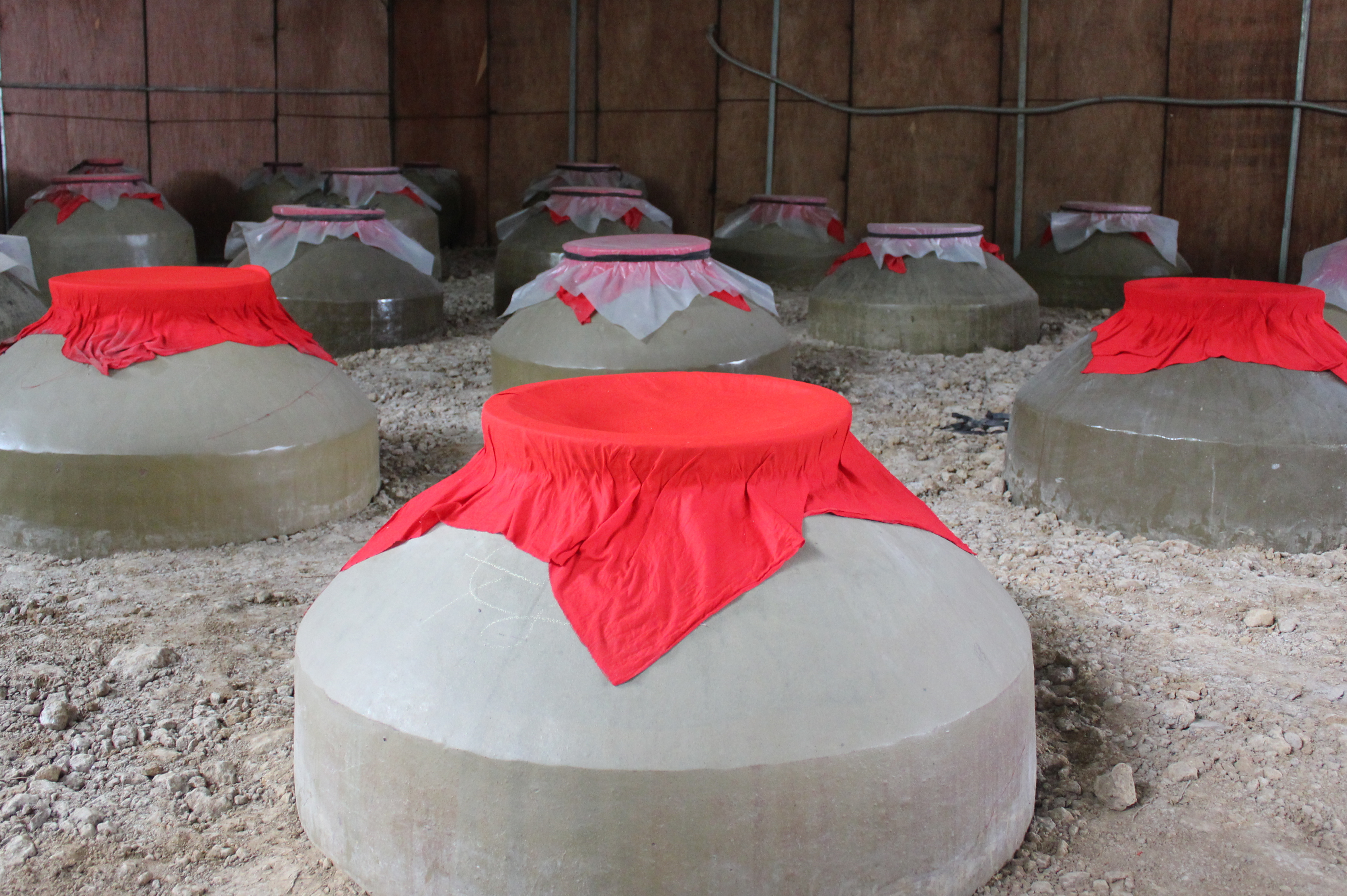 data-lemmaid="1074">甘蔗 /a>,经破碎,发酵,蒸馏,以及后期的储藏而