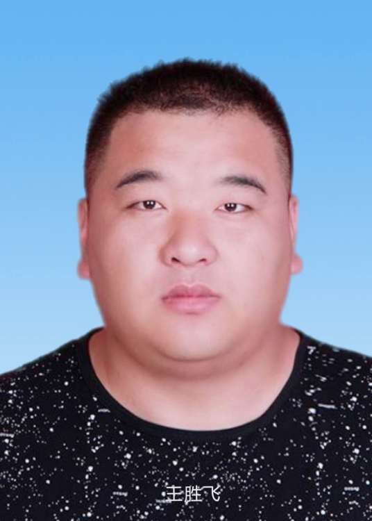 王胜飞_百度百科