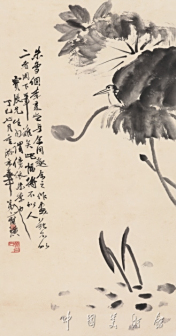 墨河水鸟