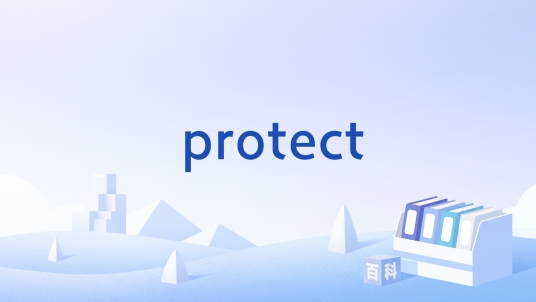 protect（编程术语）_百度百科