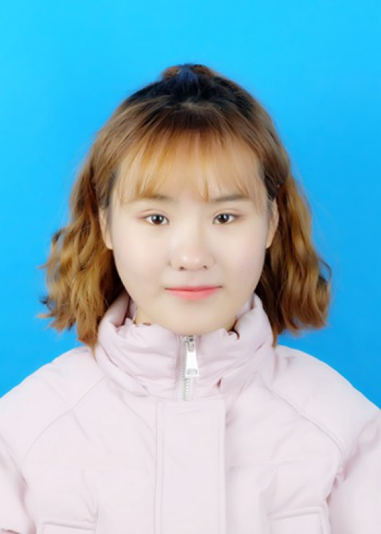 杨忠凤_百度百科