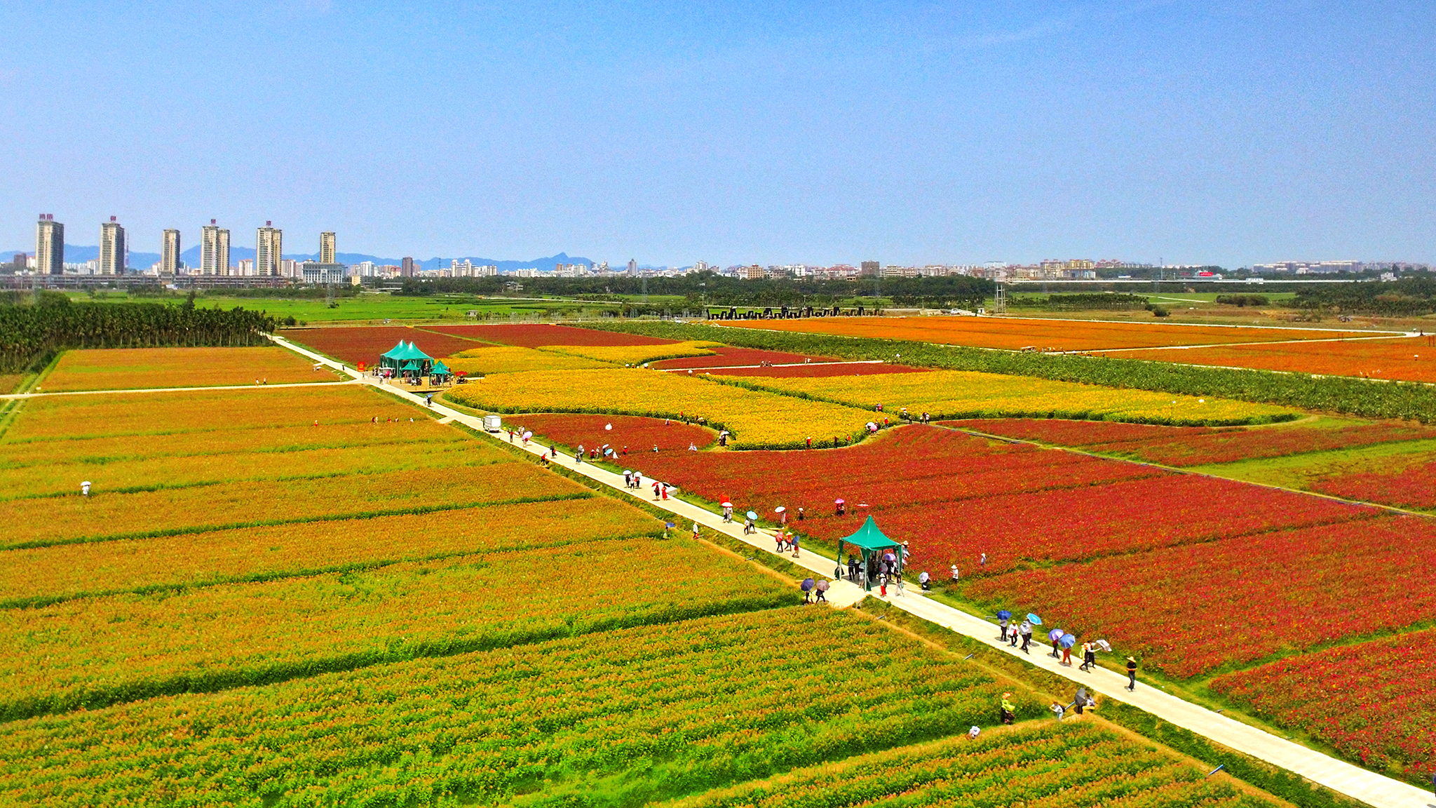 龙寿洋乡村生态旅游区