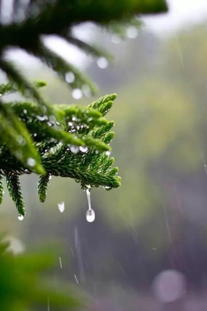 她阅读｜夏天的雨，飒爽的雨_百科TA说