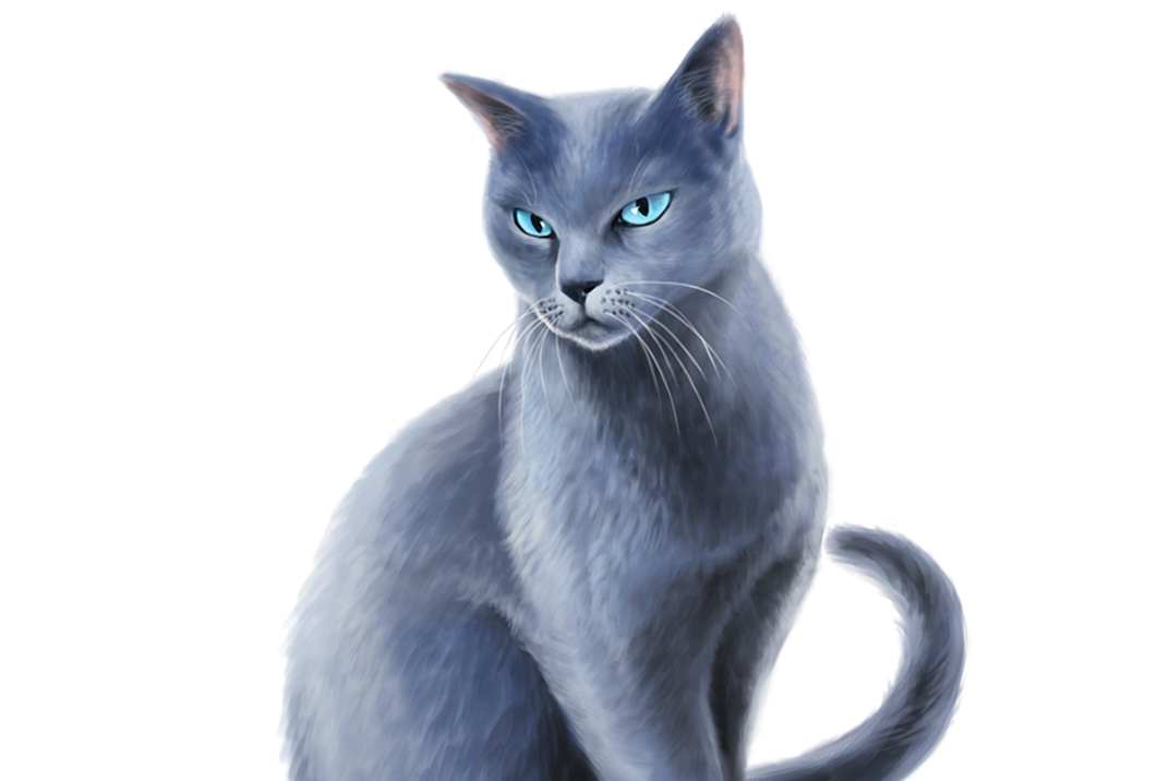 猫武士 /a>》首部曲和外传《蓝星的预言》中主要人物,身份为火星之前