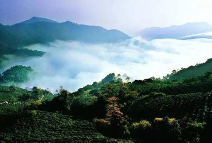  p data-id="2zvdysqyf5r">狮峰山森林公园是位于湖南省长沙市岳麓区