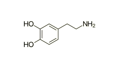 多巴胺（帮助细胞传送脉冲化学物质）_百度百科