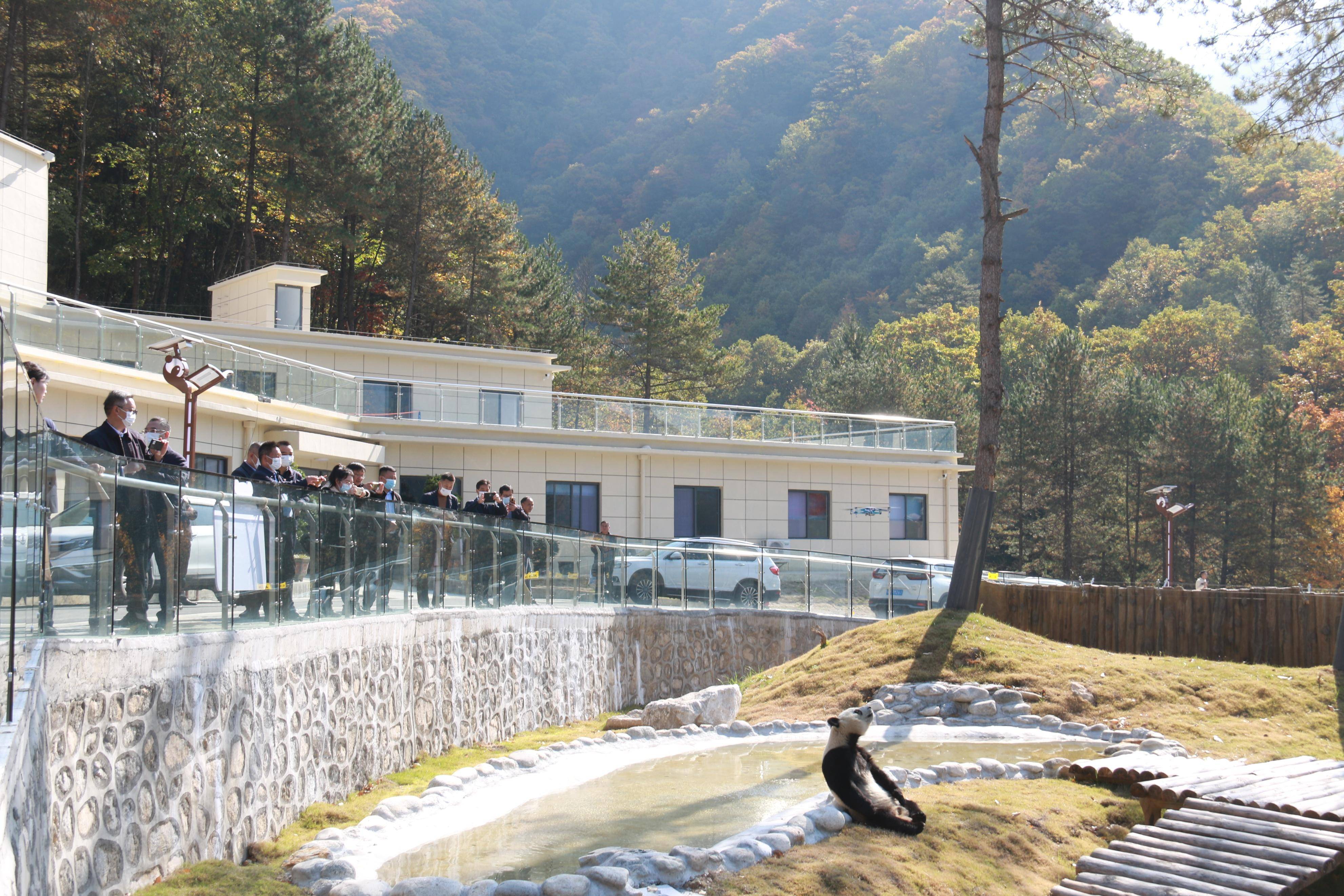 救护繁育研究基地是陕西省汉中市佛坪县境内的大熊猫救护和繁育基地