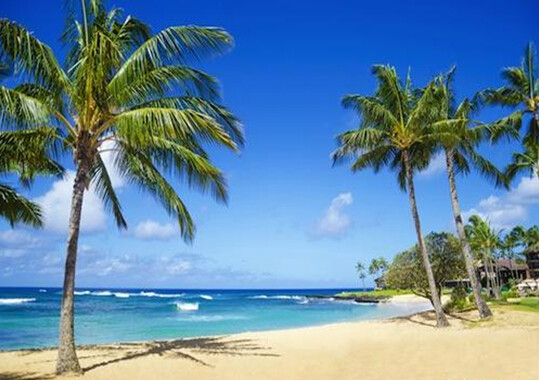 ="/item/夏威夷/6068" data-lemmaid="6068">夏威夷 /a>(hawaiian) a