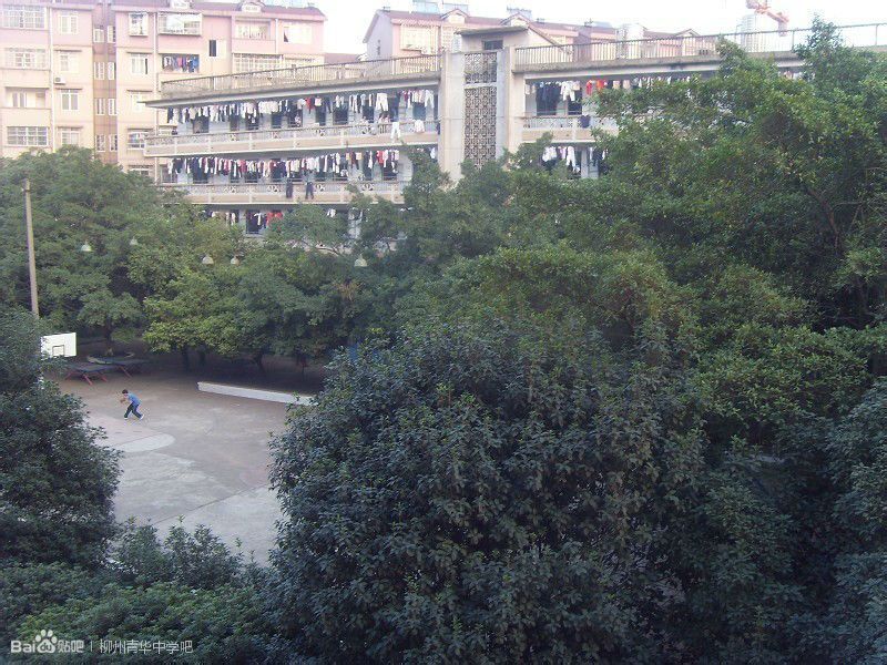柳州青华中学(原地高附中)是经<a target="