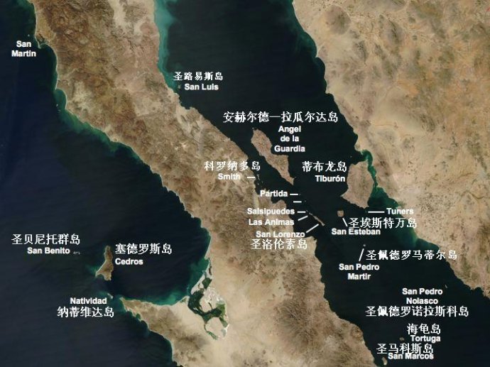加利福尼亚湾