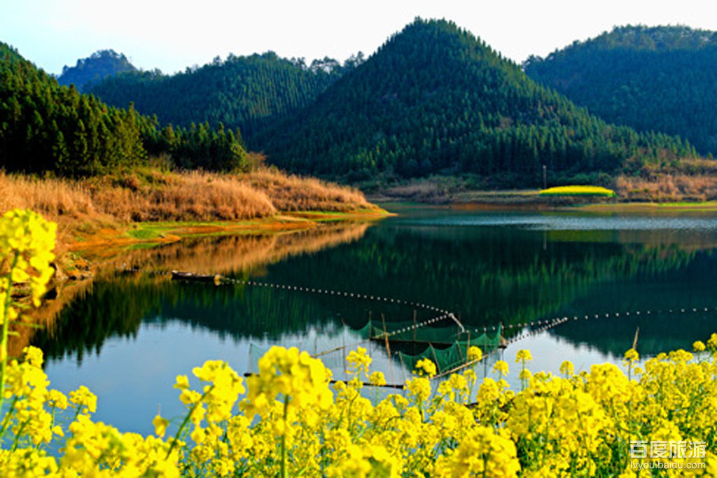 龙川湾