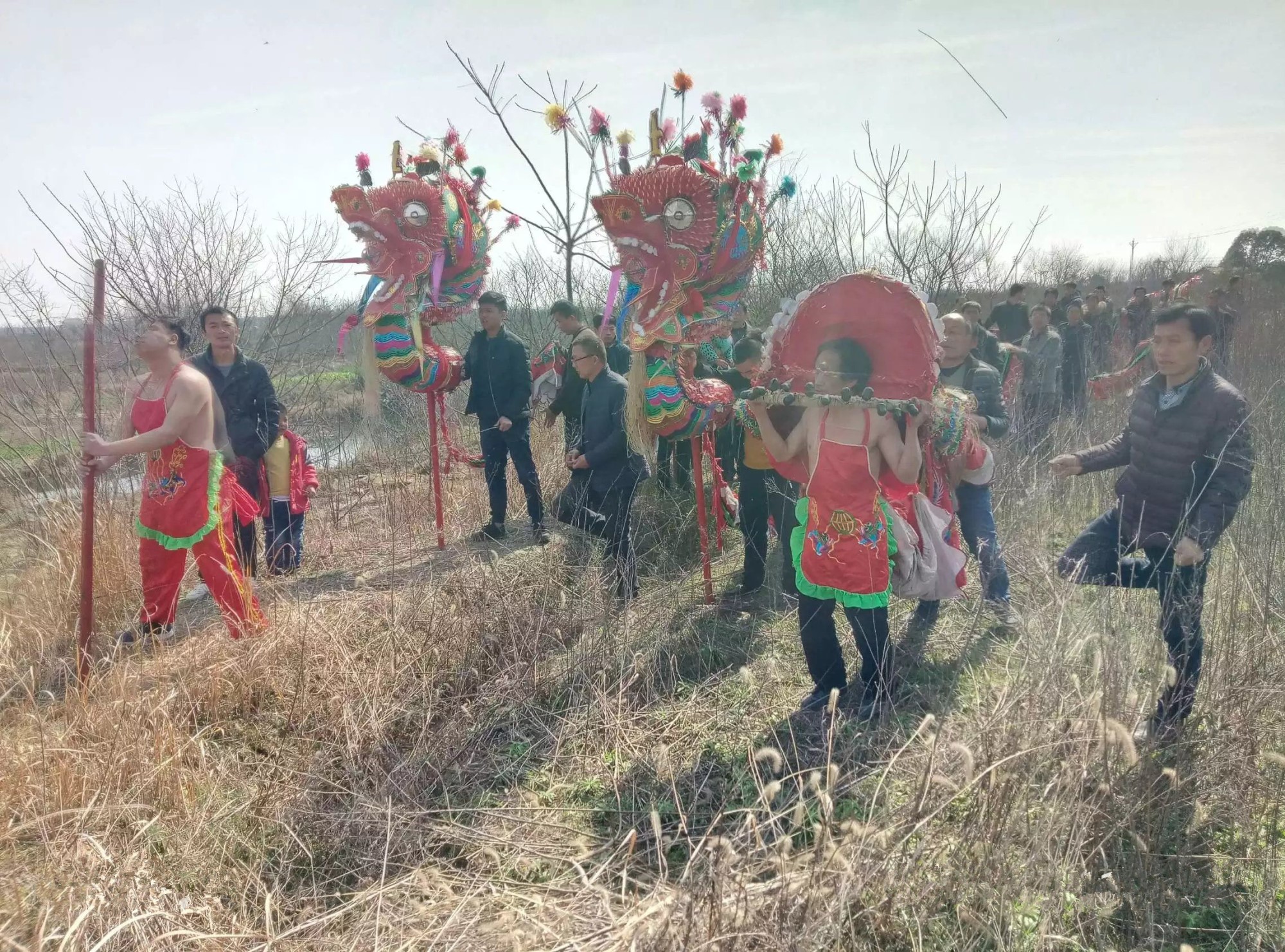 杨店龙灯一直是湖北孝感地区龙舞文化中的佼佼者,因其龙头巨大故又称