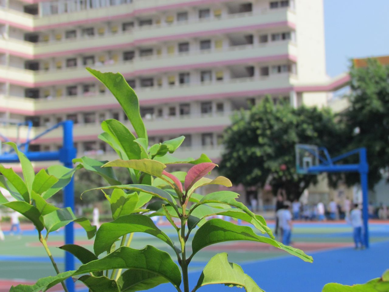 湛江市第二十一中