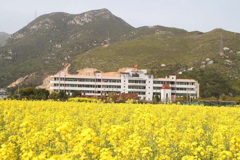 lemmaid="14472059">瑞安市人民政府 /a>批准创办的一所民办全日制