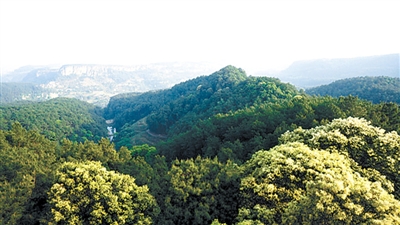 四川荣县高石梯森林公园