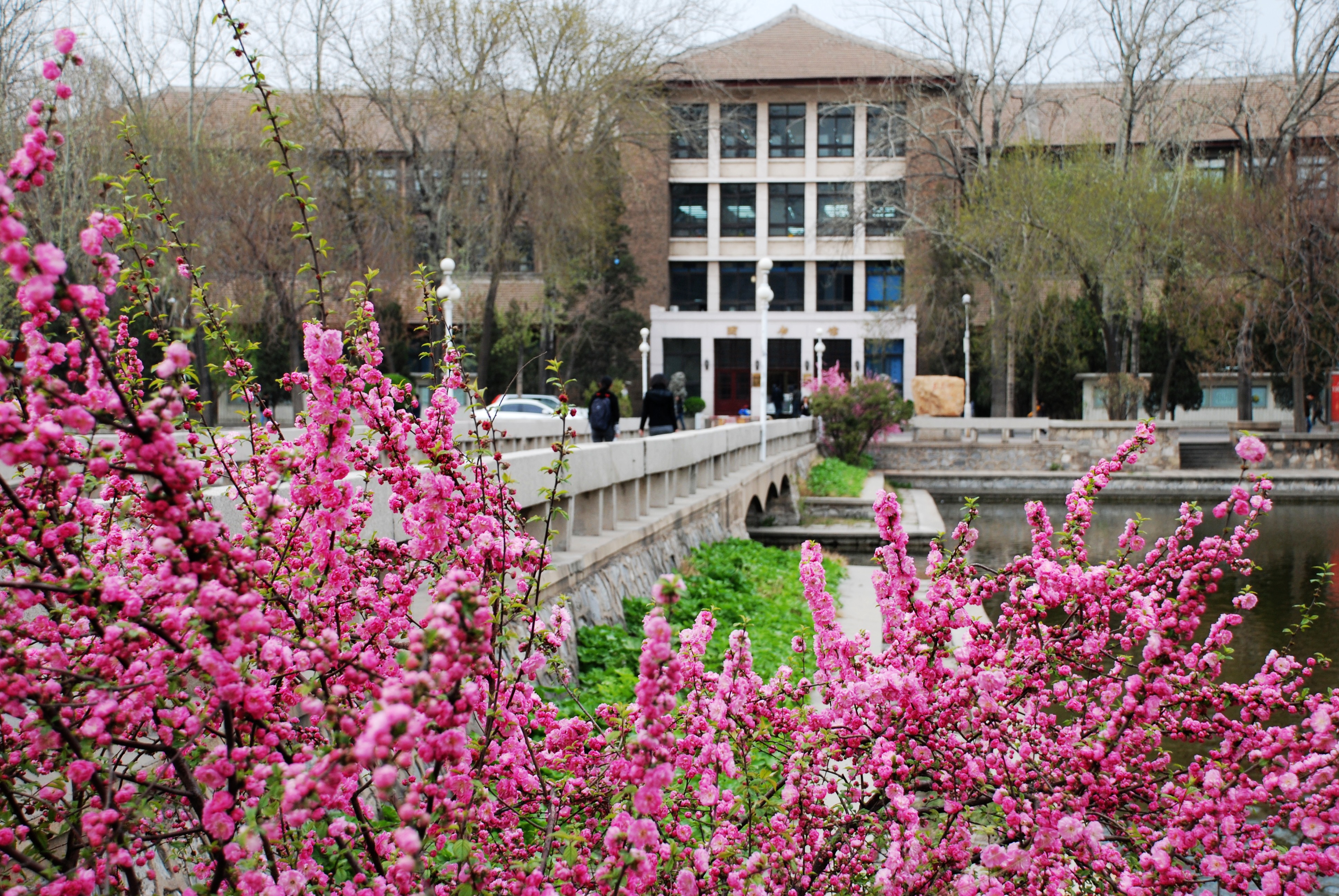 天津大学图书馆